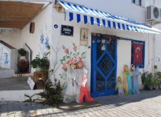 Native Animals Horses and Buffaloes