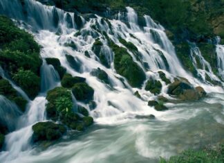 Public Appearances of the Grand Signior